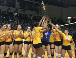 Lions capture Division II volleyball crown